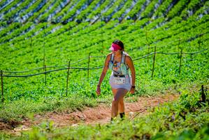 BIB: 1374
                            <button type="button" onclick="openModal(19164140)" class="btn btn-primary btn-sm float-right btn-popup" data-toggle="modal" data-target=".modal-high-quality">
                        <i class="fas fa-shopping-cart"></i> Add to Cart
                    </button>
                                            <button type="button" onclick="isThisMe(19164140, true)" class="btn btn-success btn-sm float-right btn-popup btn-isme hidden" data-toggle="tooltip" data-placement="bottom" title="นี่คือรูปของคุณใช่ไหม คลิกที่นี่เพื่อเอาเข้าอัลบั้ม">
                        <i class="fas fa-plus"></i> Add to album
                    </button>
                    <button type="button" onclick="isThisMe(19164140, false)" class="btn btn-warning btn-sm float-right btn-popup btn-isnotme hidden">
                        <i class="fas fa-ban"></i> Remove from album
                    </button>